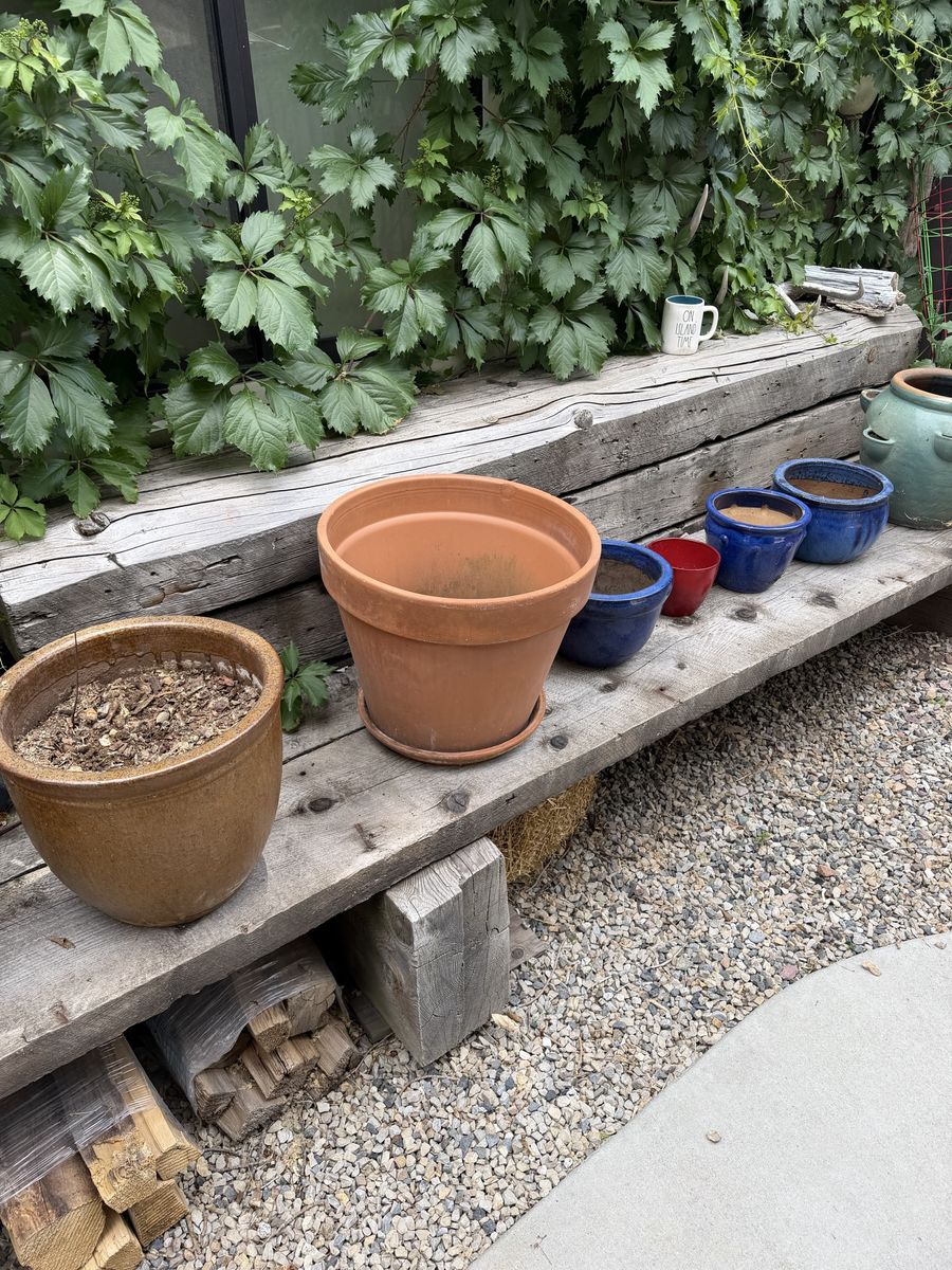 Assorted Planters