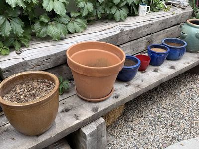 Assorted Planters