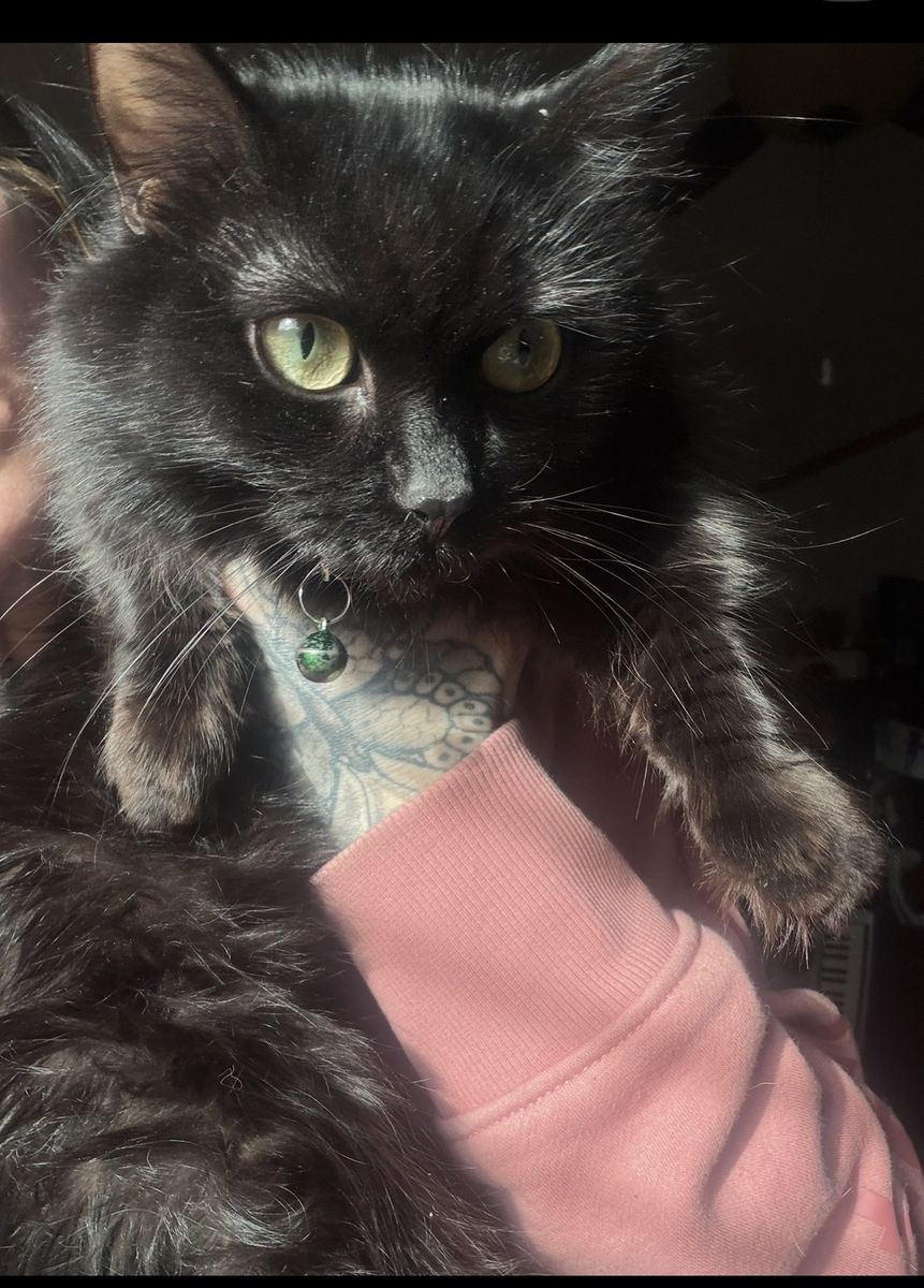 Female Munchkin Dwarf