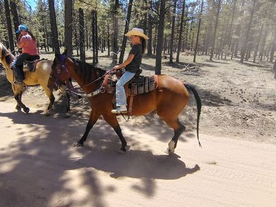 All around great mare