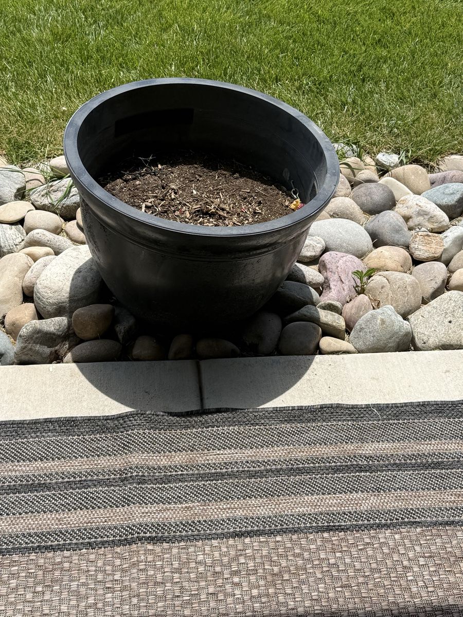 Black planter for $10