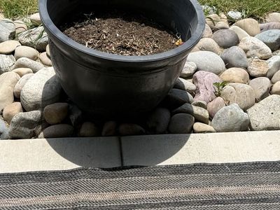 Black planter for $10