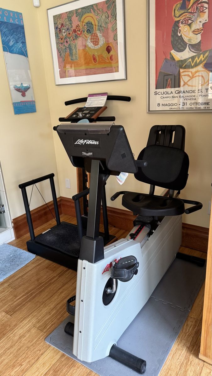 Half Recumbent Bike -Life Cycle 5500