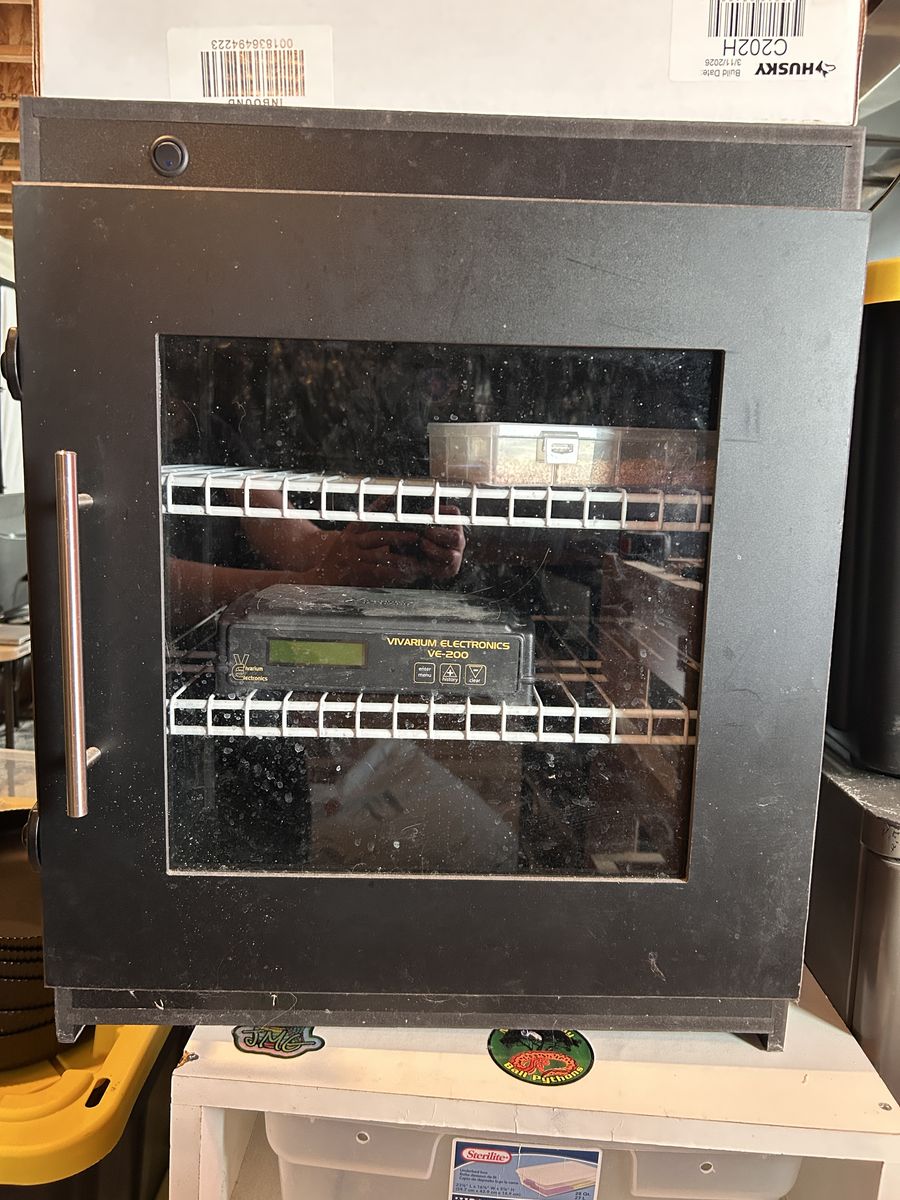 Main image 13