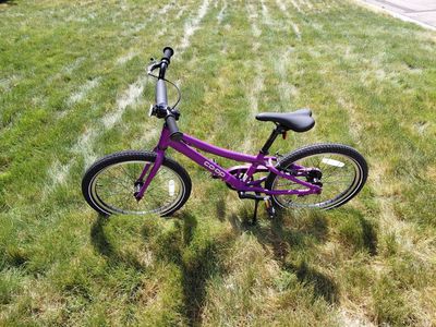 REI 20" kid's bicycle