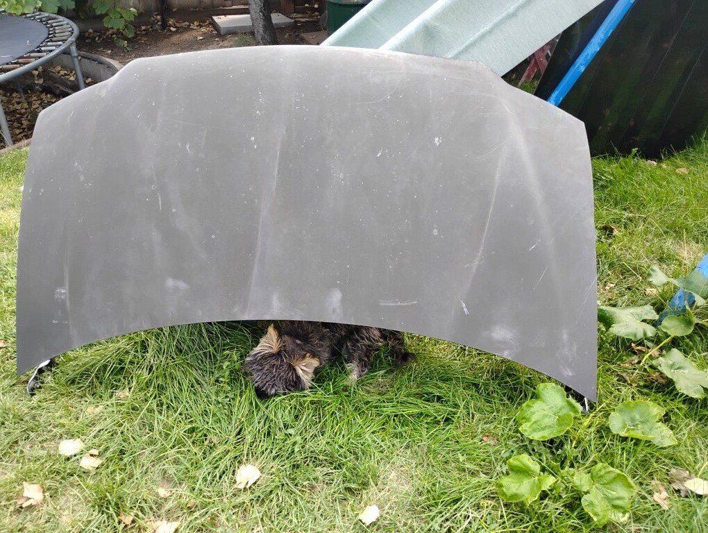 1999 Chrysler Town and Country Front Hood +Hinges