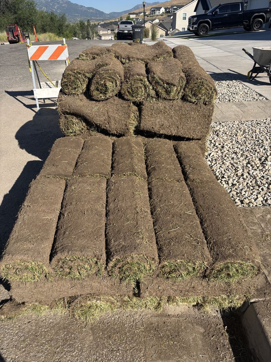 Fresh sod
