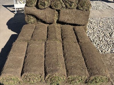 Fresh sod