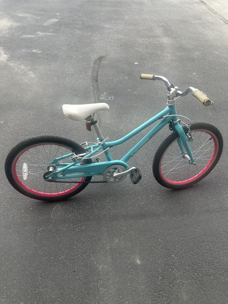 Guardian 16 Bike