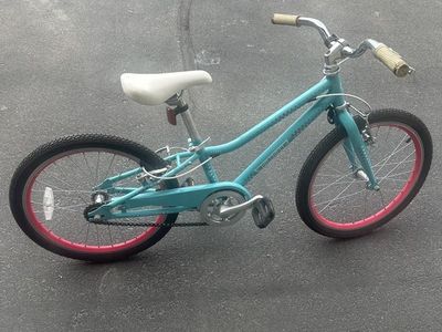 Guardian 16 Bike