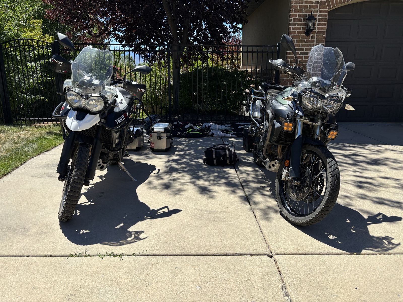 2016 triumph tiger XCX & 2013 triumph Tiger XC