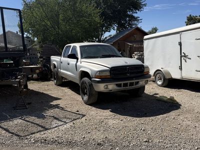 Dodge Dakota Crew Cab Pickup 256,839 miles
