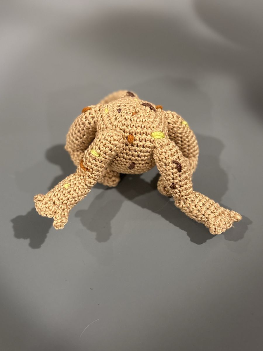 Rocky From Project Hail Mary Amigurumi