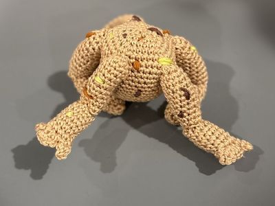 Rocky From Project Hail Mary Amigurumi
