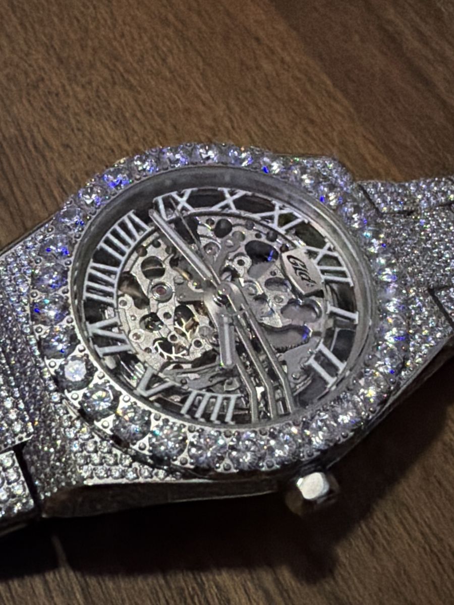 42MM Iced Alpha Era Luminous Skeleton 316