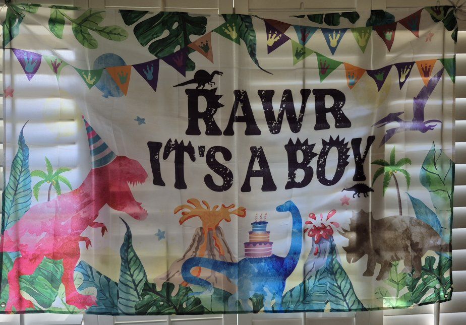 Dino themed baby shower kit