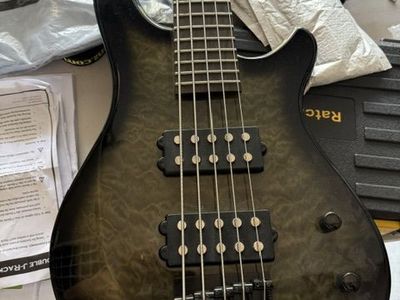 Electric Bass Guitar Fernandes 5 streen