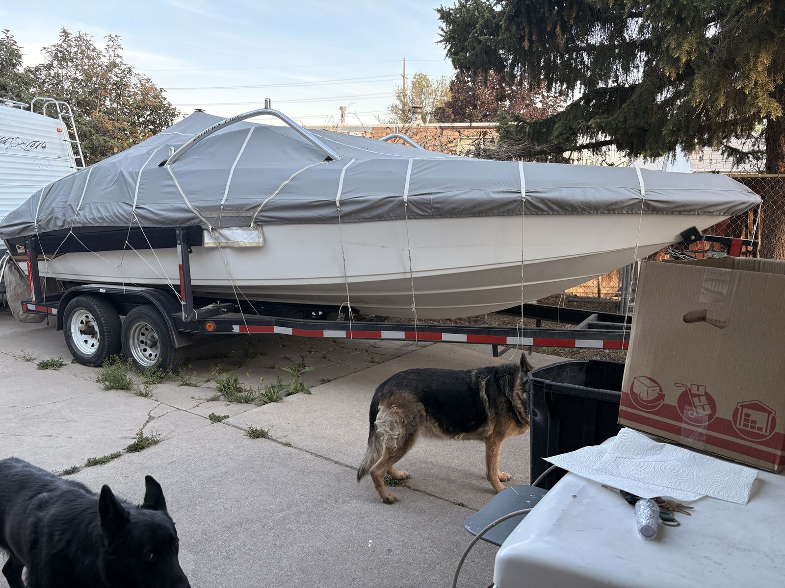 Crown line boat