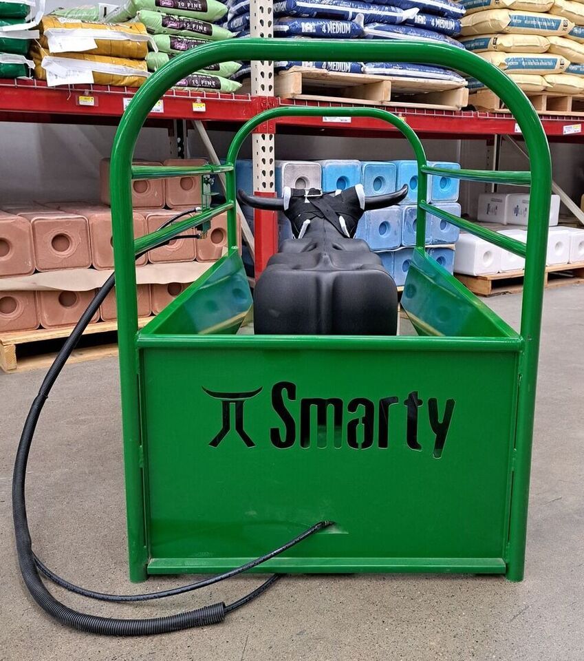 Main image 5