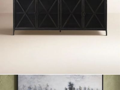 Birch Lane Black Metal and Glass Sideboard
