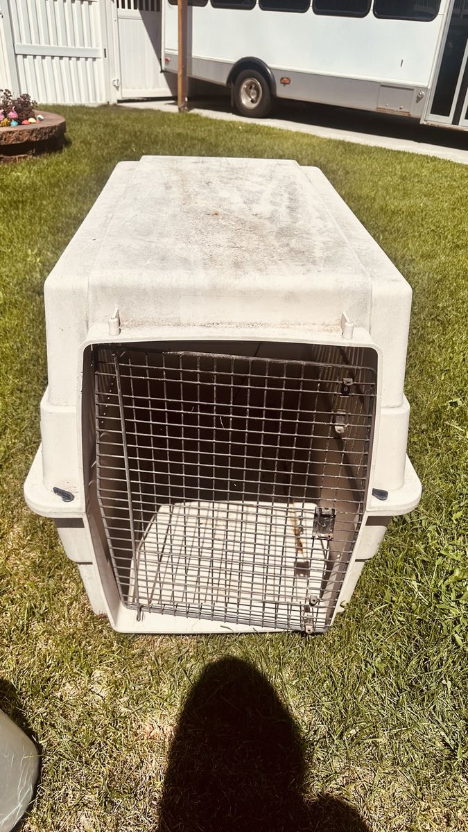 Large Plastic Pet Travel Crate Dog Kennel
