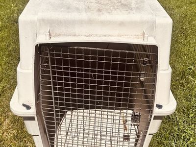 Large Plastic Pet Travel Crate Dog Kennel