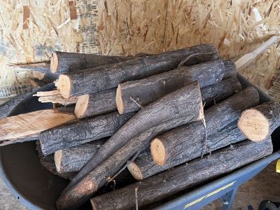 Free Firewood