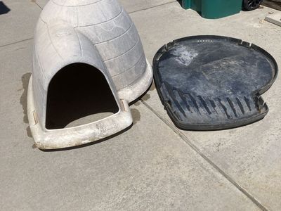 Dog Igloo