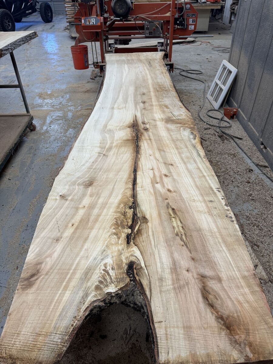 Dry live edge slabs