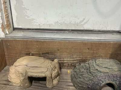 Reptile hides