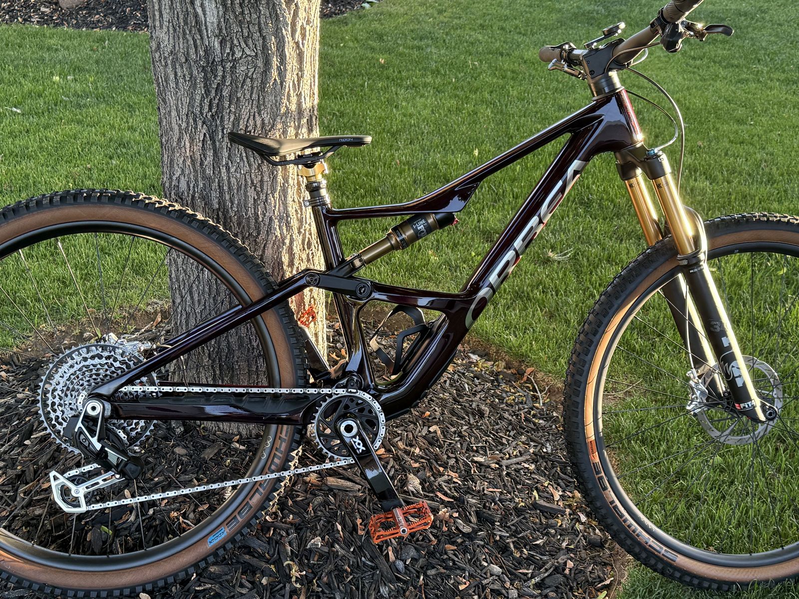 2024 Orbea Occam SL M-LTD - Size Medium