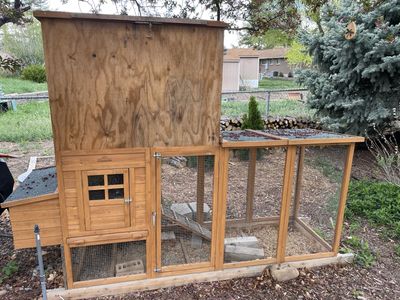 Chicken Coop
