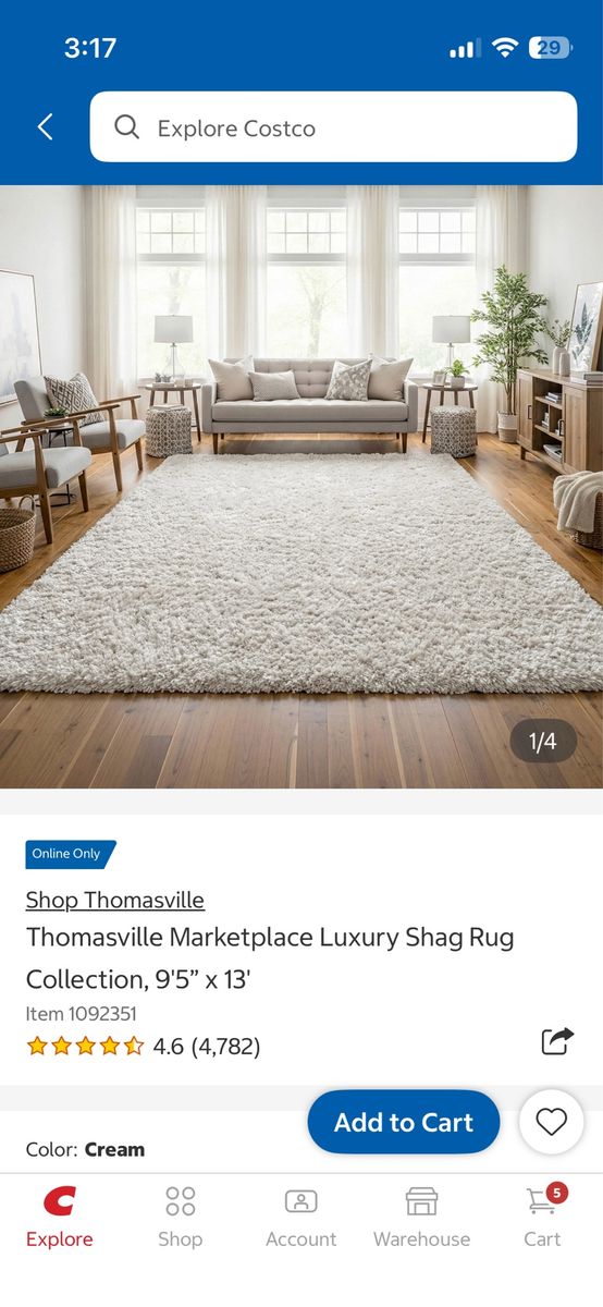 Shag rug