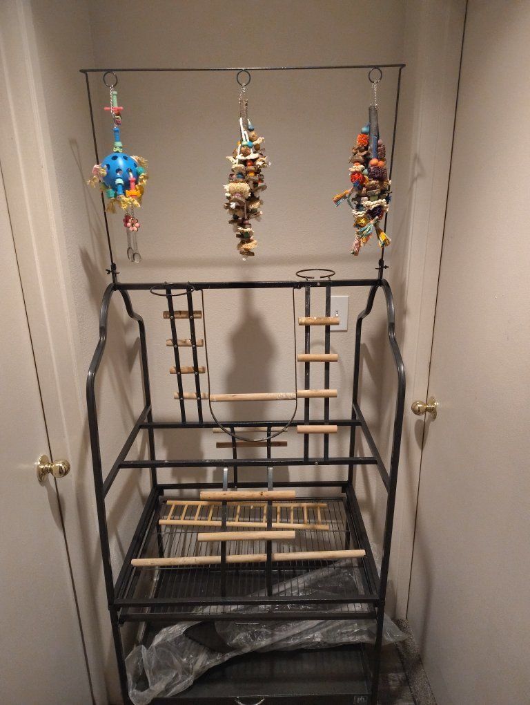 Large Black Metal Bird Play Stand with Wheels, Perches, and Toys - Used Excellent Condition