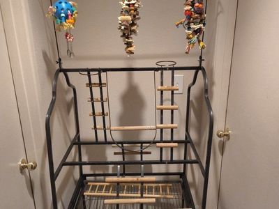 Large Black Metal Bird Play Stand with Wheels, Perches, and Toys - Used Excellent Condition