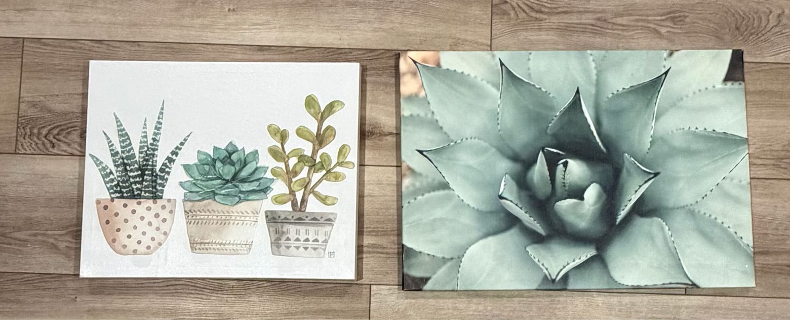 Set of 2 Succulent & Agave Canvas Wall Art Prints