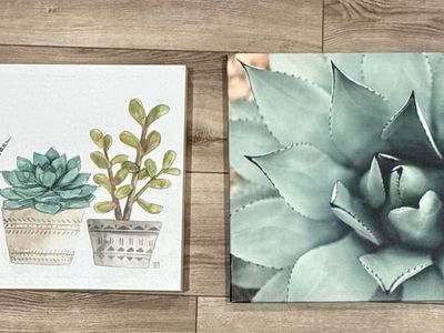 Set of 2 Succulent & Agave Canvas Wall Art Prints