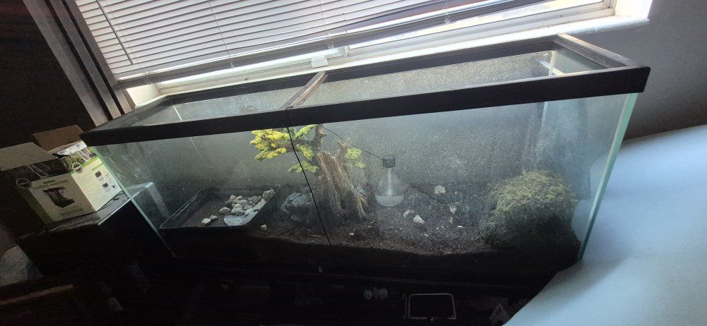 55 gallon long tank