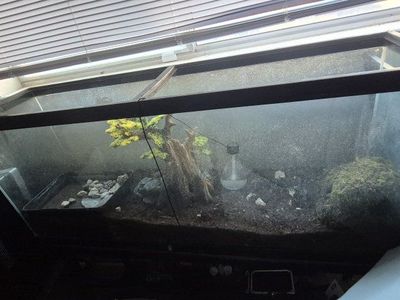 55 gallon long tank
