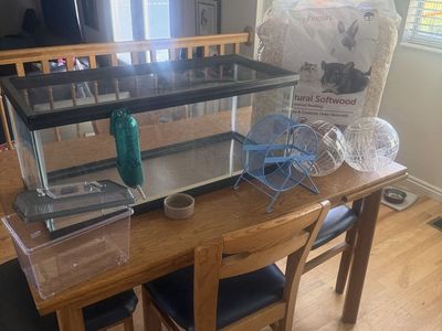 Gerbil/Hamster aquarium