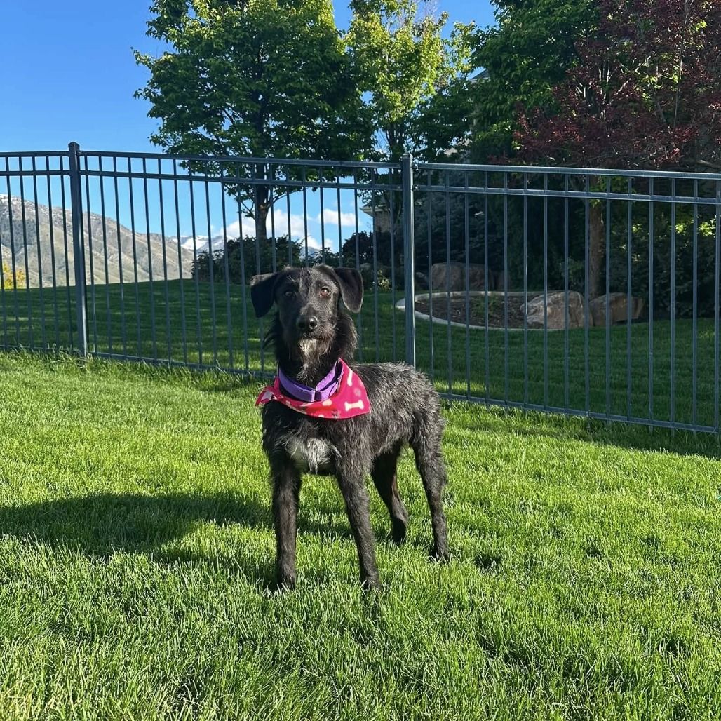 Hello my name is Posey