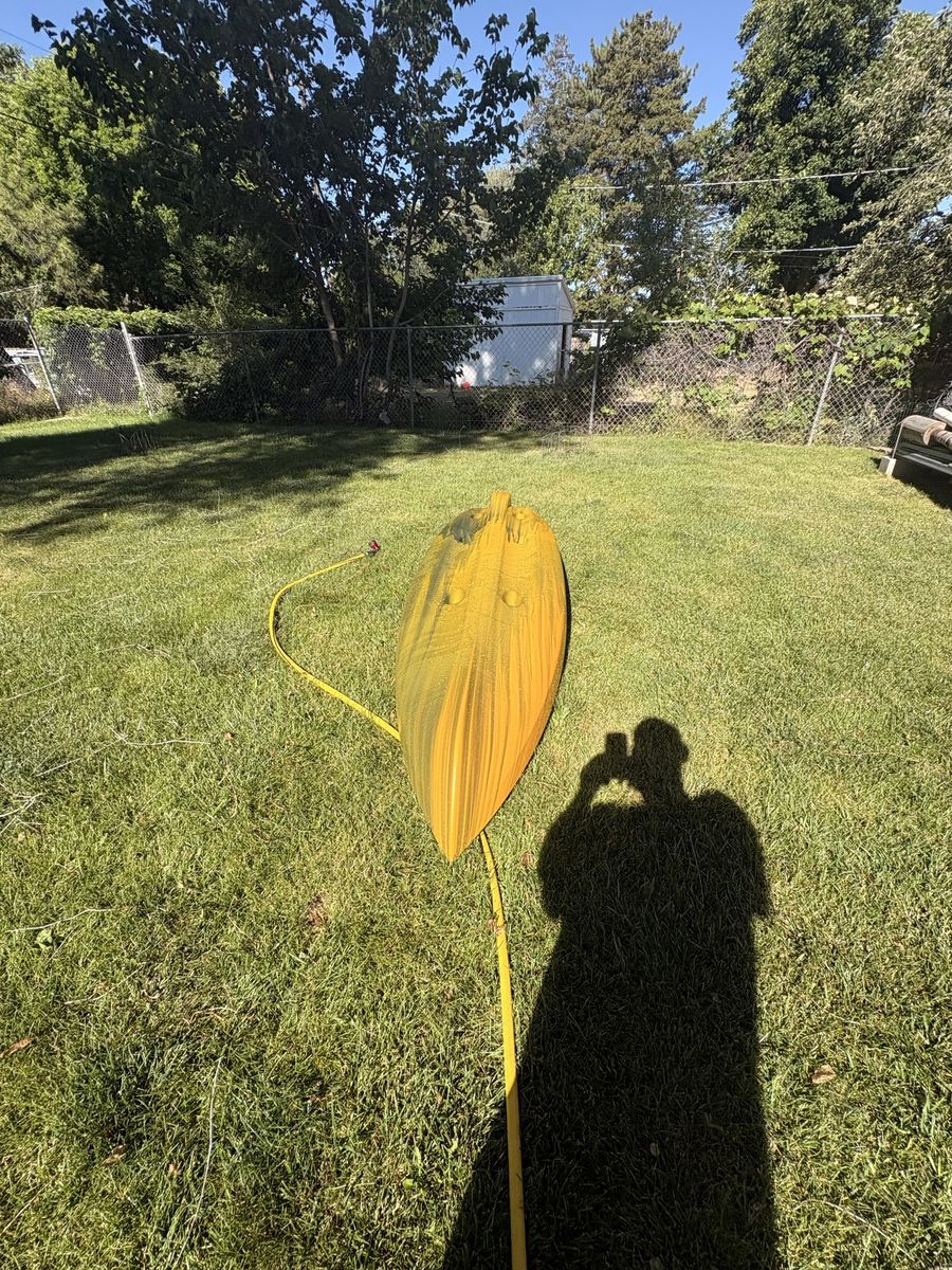 Main image 6