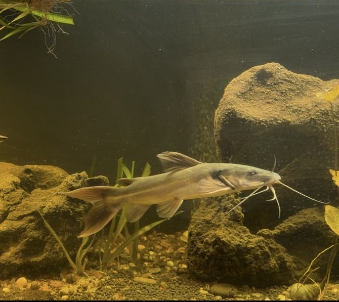 Main image 6