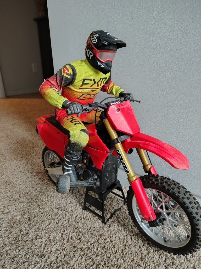 Losi Promoto-MX RC dirt bike