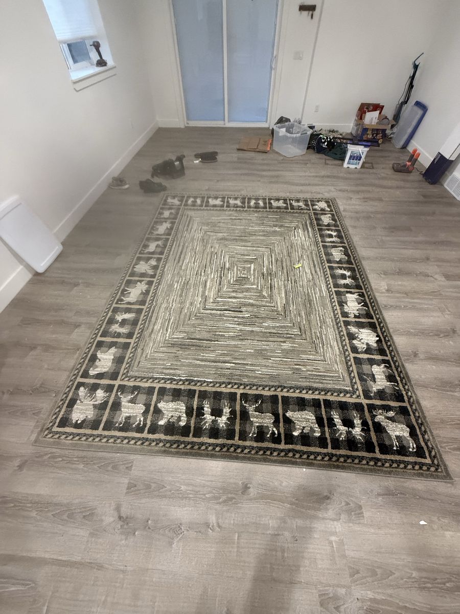 10x7 Area Rug