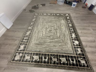 10x7 Area Rug