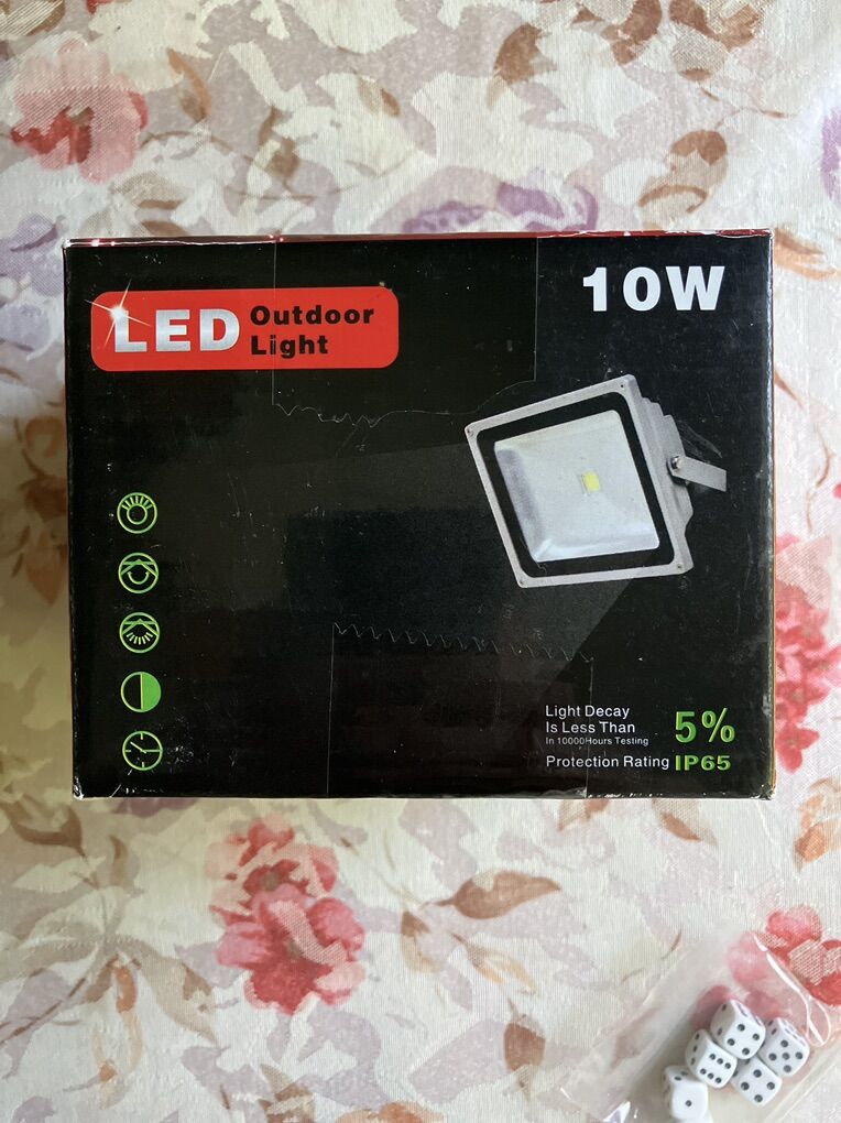 New 10 W Outdoor Led Floodlight