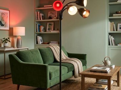 Vintage Black Gooseneck Floor Lamp