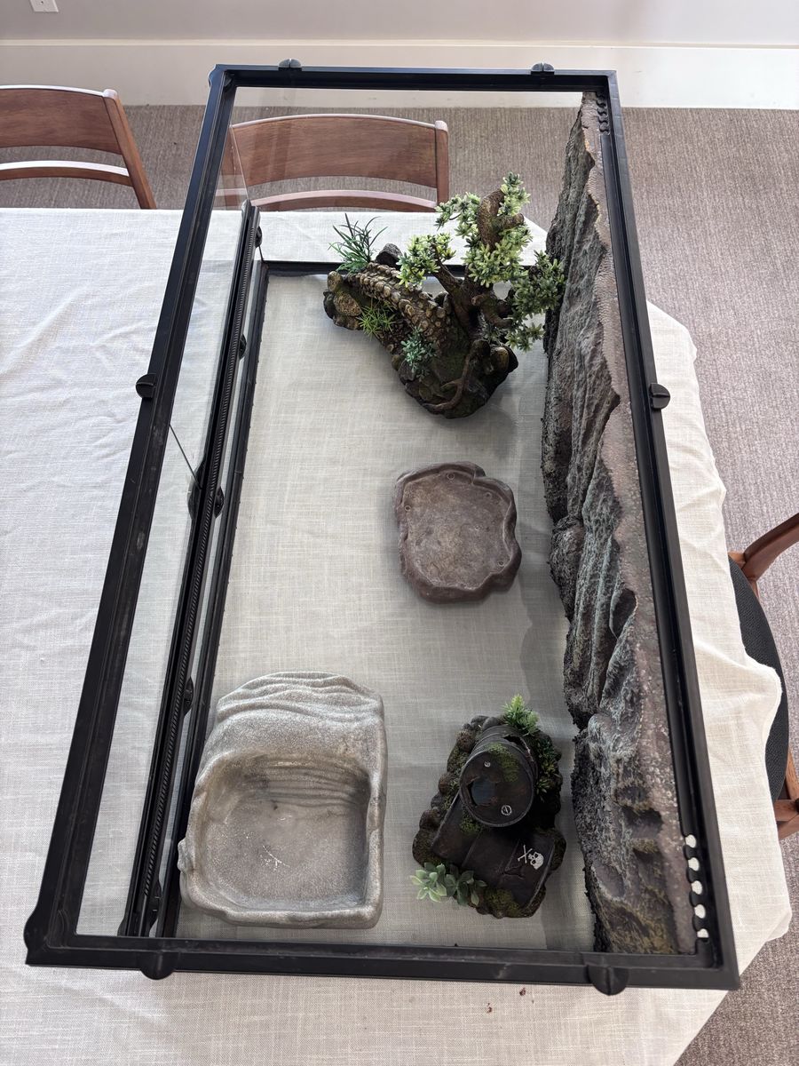 Main image 2