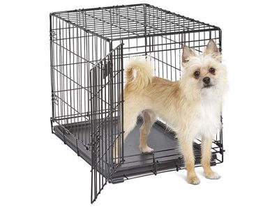 Frisco Small Double Door Collapsible Wire Dog
